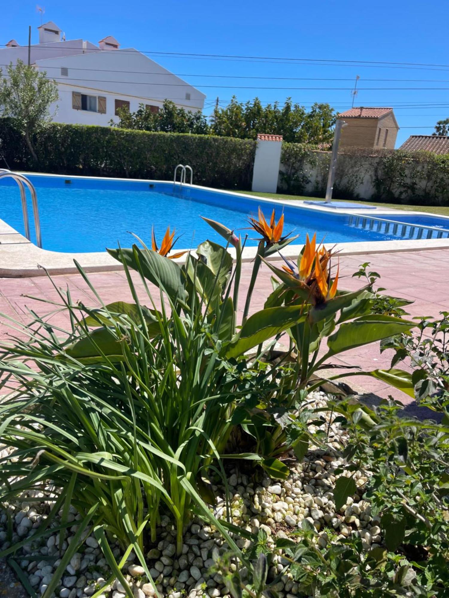 Cala Puntal Apartment Vinaros Exterior photo