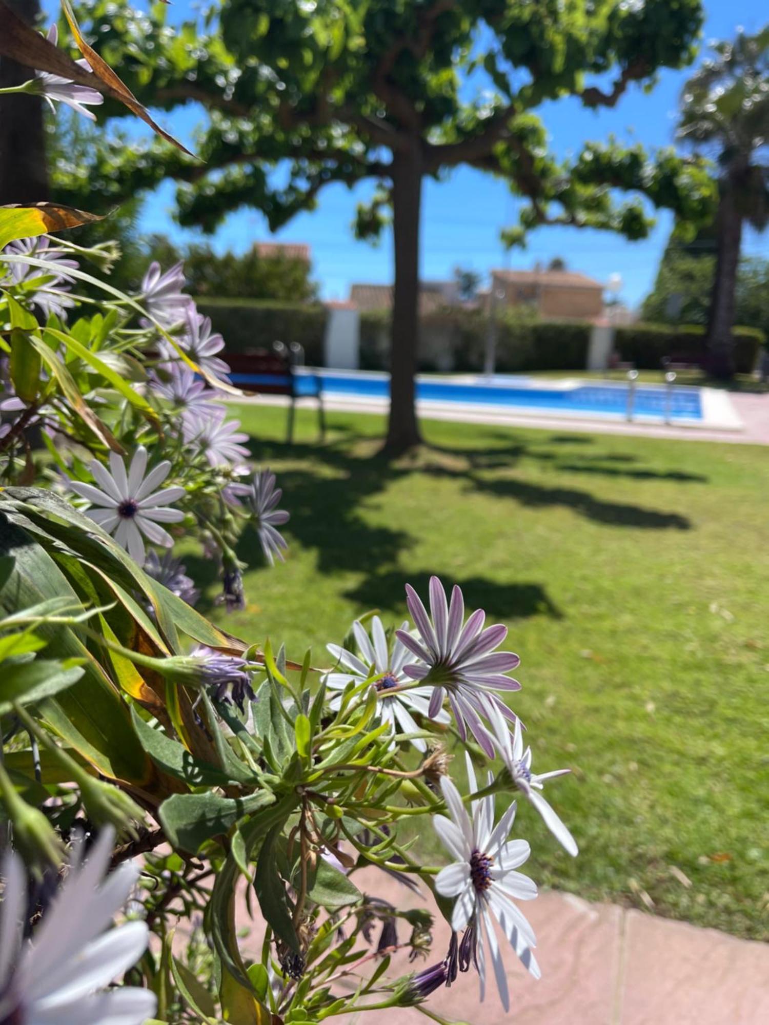 Cala Puntal Apartment Vinaros Exterior photo